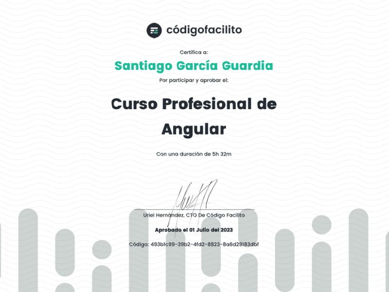 Curso Profesional de Angular