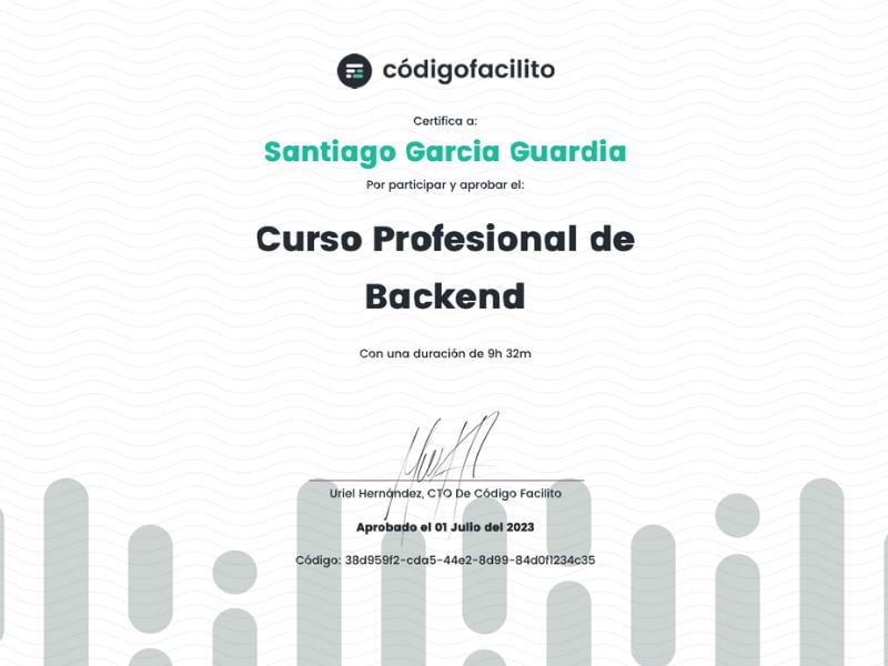 Curso Profesional de Backend