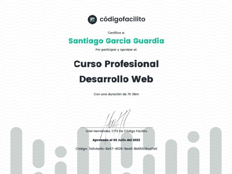 Curso Profesional de Desarrollo Web