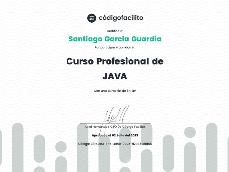 Curso Profesional de Java